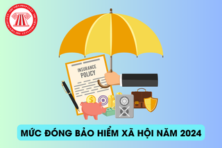 Luyện Rồng Thời Tiền Sử 2