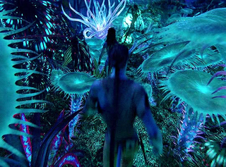 Avatar - Thành phố kỳ diệu